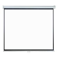 Экран Lumien Eco Picture LEP-100106