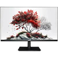 Монитор RDW Computers 27" RDW2701K, черный