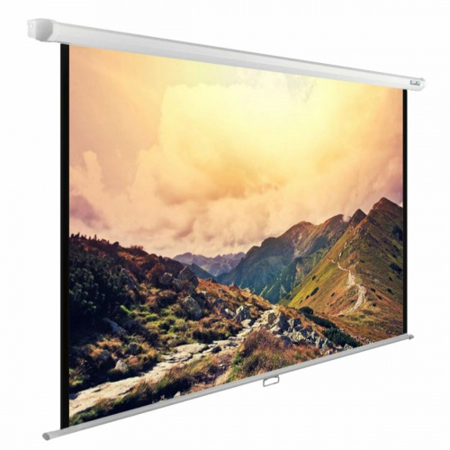 Экран Cactus WallExpert CS-PSWE-240x180-WT