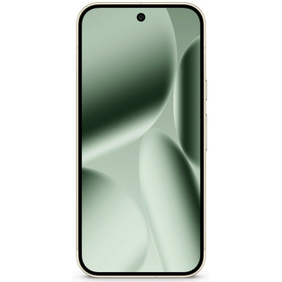 Смартфон Google Pixel 10 Pro 16 / 256Gb (Цвет: Jade)