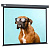 Экран Cactus Wallscreen CS-PSW-149X265-SG
