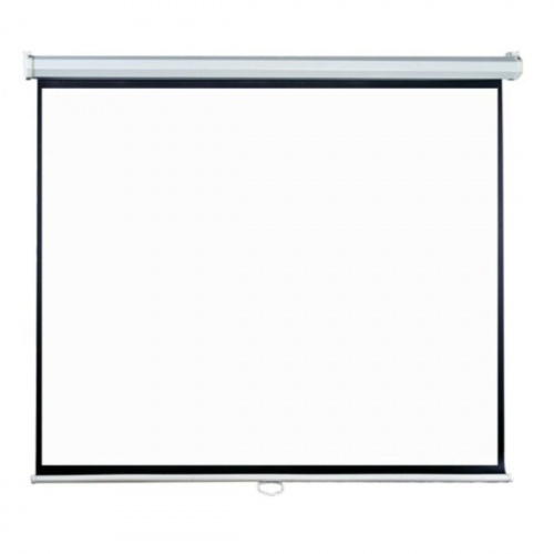 Экран Lumien Eco Picture LEP-100106