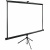 Экран Cactus TriExpert CS-PSTE-220x165-BK