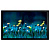Экран Cactus FrameExpert CS-PSFRE-200X113