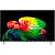 Телевизор LG 55" OLED55B6RLA.ARU (Цвет: Brown)