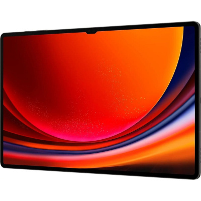 Планшет Samsung Galaxy Tab S9 Ultra Wi-Fi 12 / 512Gb X910NZAECAU RU (Цвет: Graphite)