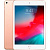 Планшет Apple iPad mini (2019) 64Gb Wi-Fi + Cellular MUX72RU / A (Цвет: Gold)