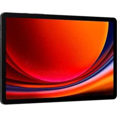 Планшет Samsung Galaxy Tab S9 Wi-Fi 8 / 128Gb X710NZAACAU RU (Цвет: Graphite)
