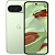 Смартфон Google Pixel 9 12 / 256Gb (Цвет: Wintergreen)