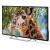 Телевизор PolarLine 55" 55PU11TC-SM (Цвет: Black)