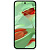 Смартфон Google Pixel 9 12 / 128Gb (Цвет: Wintergreen)