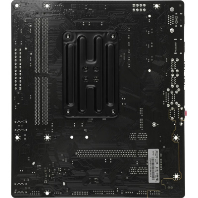 Материнская плата Biostar A520MT